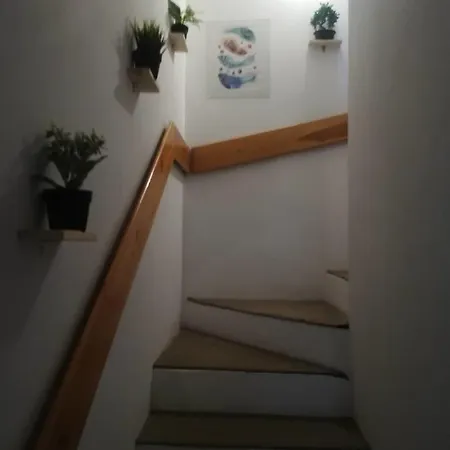 Homestay Bart House *
